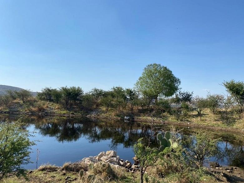 The sandy landscape of San Miguelito with cacti in the foreground and a body of water with trees and bushes in the background. Copyright: GIZ Mexico / Carla Rostasy