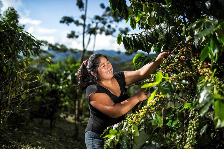gizIMAGE-zukunftsfähige-ländliche-räume-1