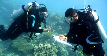 Jordanien. Meeresschutz am Korallenriff. Taucher sammeln wichtige Informationen am Golf von Aqaba. © GIZ