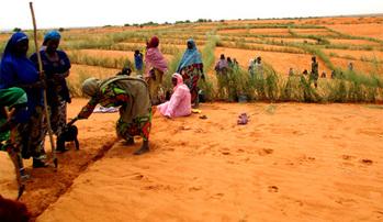 Niger. Präventive Maßnahmen zur Risikoreduzierung (Erosionsschutzmaßnahmen) im Dorf Kokomanimé. © GIZ