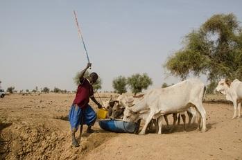 Nouenis-enHautDSC_0923 - Kopie