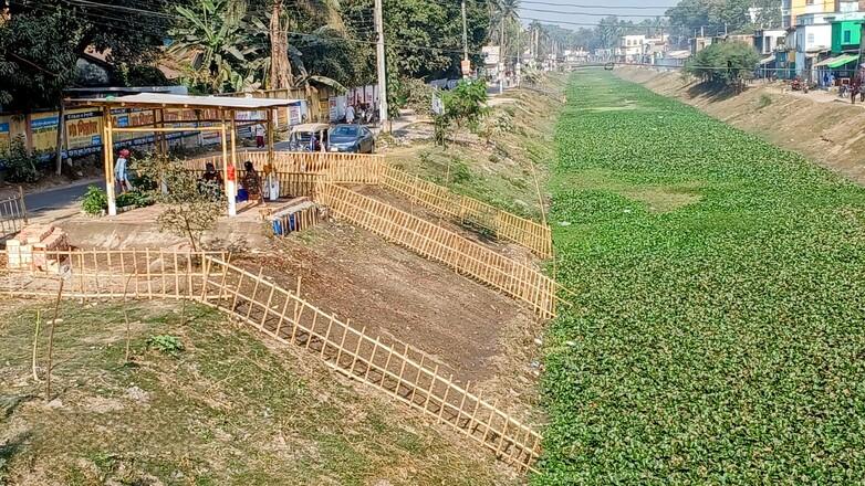 A riverbed grown over with green plants. Copyright: GIZ BD