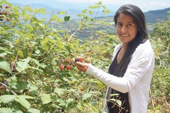 PRODES_NdS_Mora_copyright GIZ