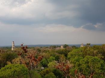 REDD_Tropischer Tieflandsregenwald in Zentralamerika II Foto JB