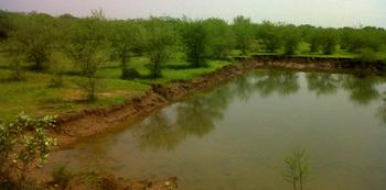 in-regenwasserbecken_rdax_350x173