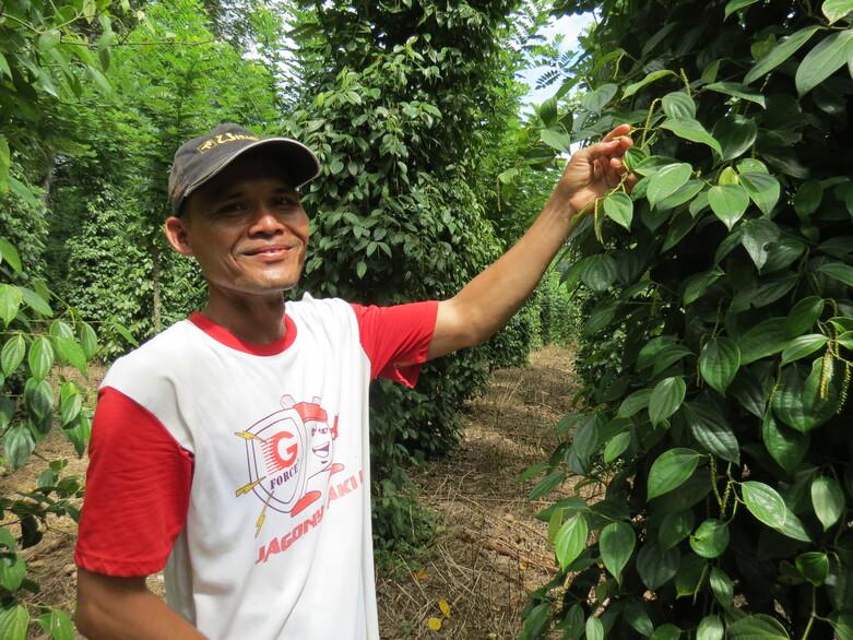 Pfefferbauer Ady Yono: Das Vorhaben stärkt Kleinbauern, indem es sie mit Unternehmen der Privatwirtschaft vernetzt und Trainings zur Qualitätsverbesserung abhält. Fotograf: GIZ / Katharina Mengede