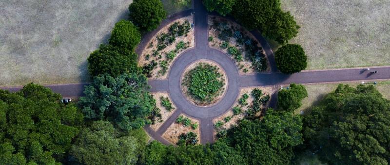 Fußgängerweg in einem Park aus der Vogelperspektive