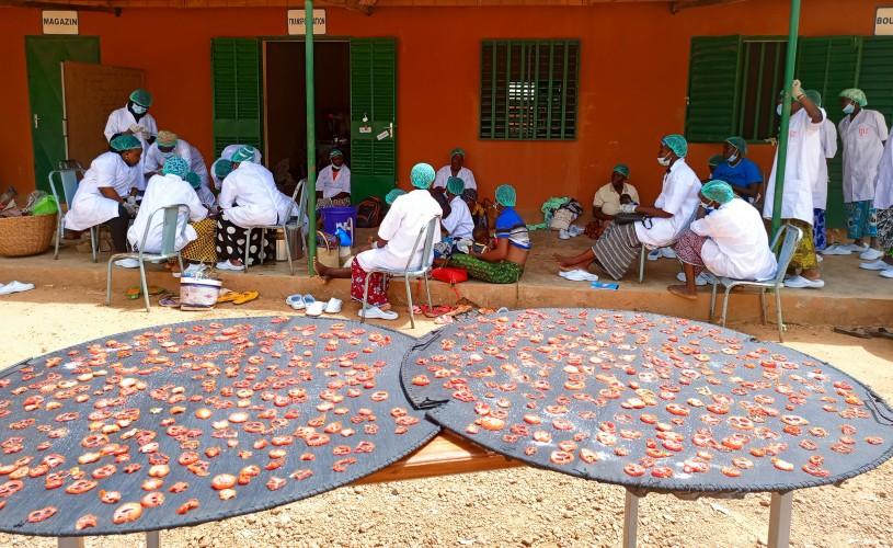 Frauen in Burkina Faso trocknen Tomatenscheiben und erzielen damit ein Einkommen.