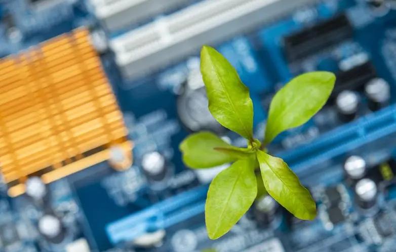 Eine Ansicht von oben auf eine Pflanze auf der Hauptplatine eines Computers.