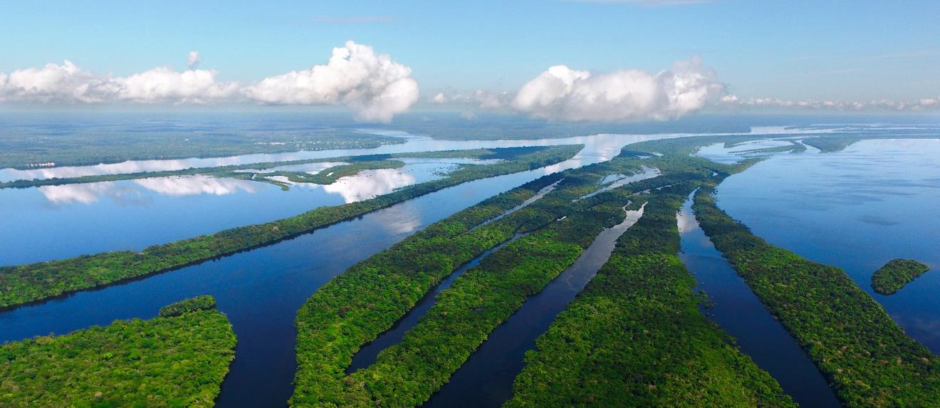 President Lula's forest policy is proving effective