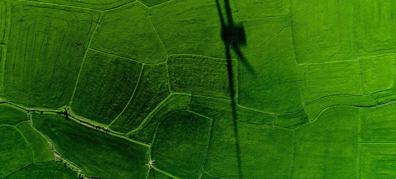Green field with the shadow of a wind turbine