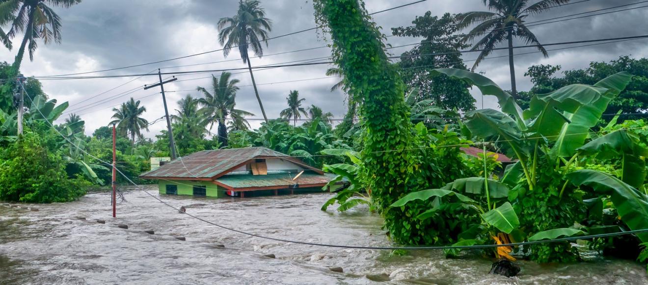 Photo of flooding in a tropical landscape