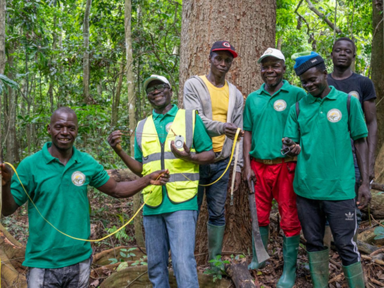 Eine Gruppe Männer im Wald von Yoko und Moloundou mit Maßbändern.