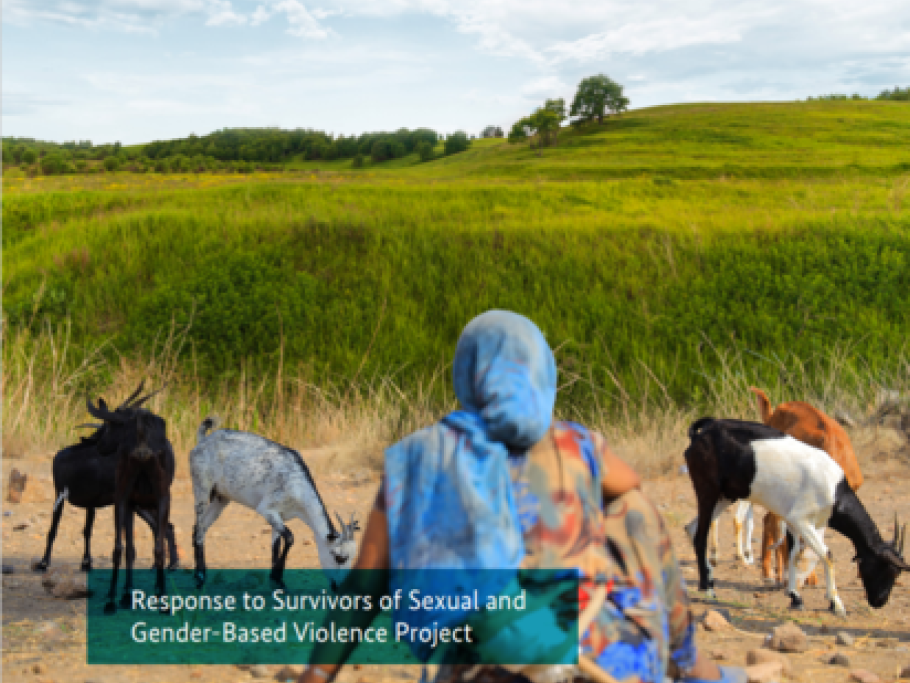 Eine Frau sitzt auf steinigem Bode und schaut auf eine hügelige Grasfläche. Um sie herum befinden sich Ziegen.