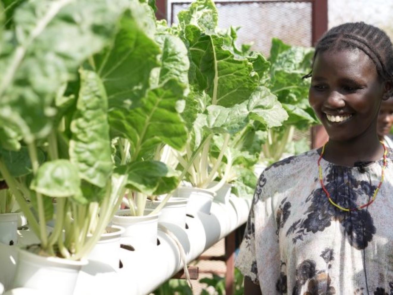 Eine Frau betrachtet Pflanzen in einem Gewächshaus.