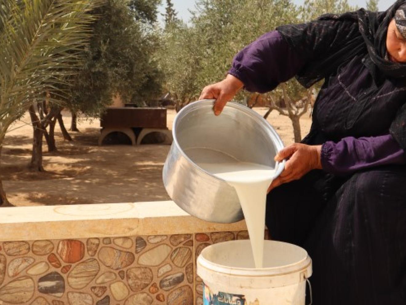 A woman processes milk so it can be better preserved.