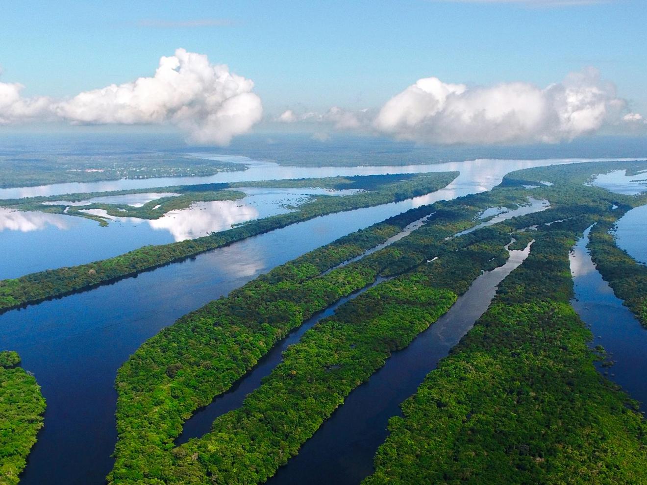 President Lula's forest policy is proving effective