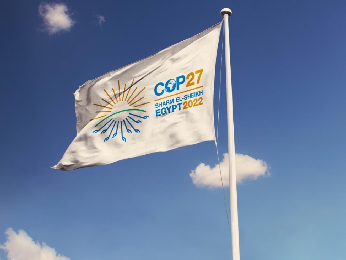 Flag with COP27 logo