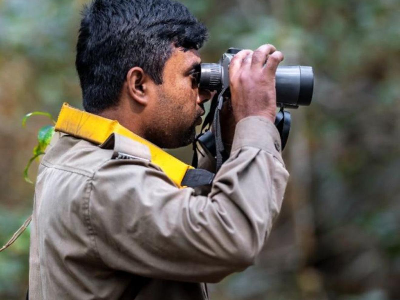 Einer Ranger späht durch das Fernglas
