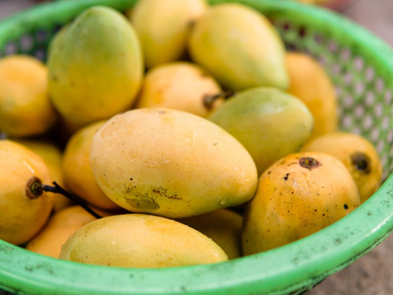 Korb voller Früchte