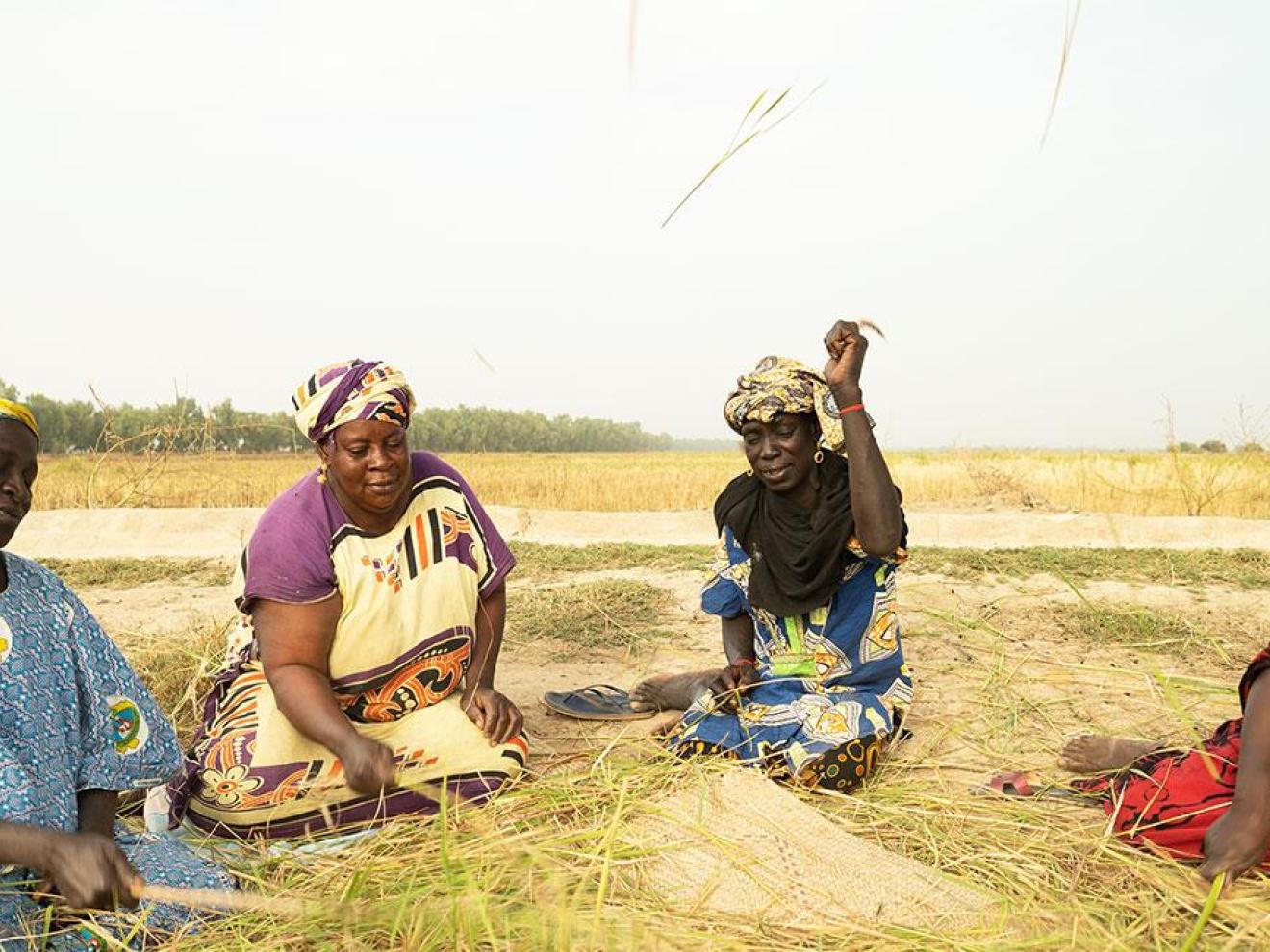 Mali The women's harvest