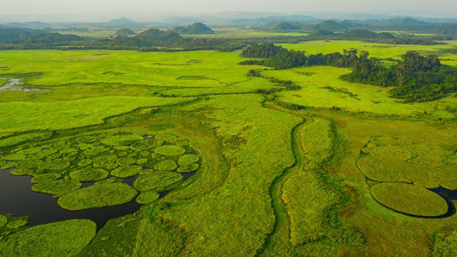 Luftaufnahme einer Moorlandschaft