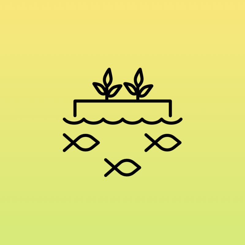 Icon Aquakultur und Fischerei