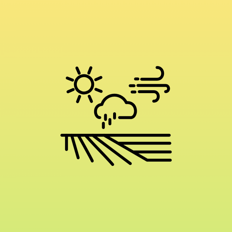 Icon Landwirtschaft und Klimawandel