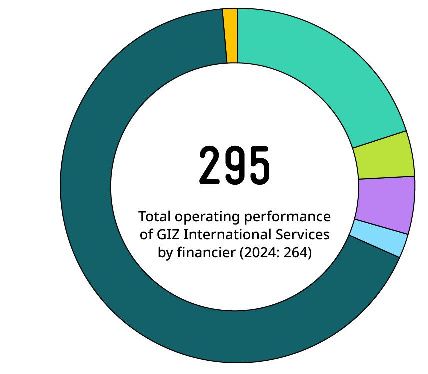 Pie chart: Total performance of International Services in 2025: 295 million euros (in 2024: 264 million euros).