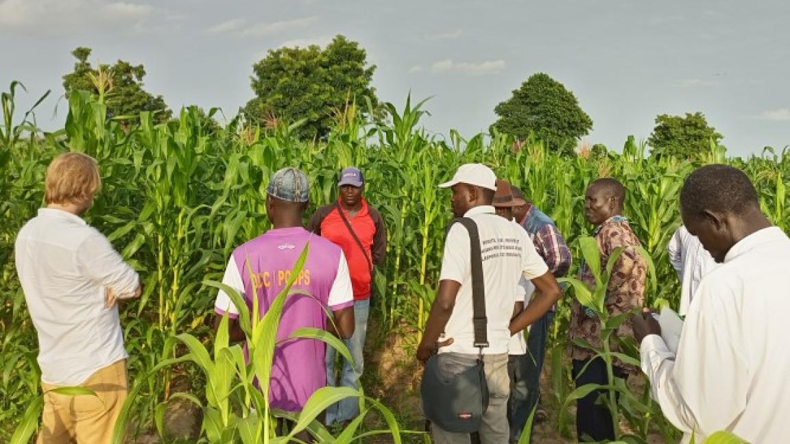 Mehrere Personen stehen in einem Feld.