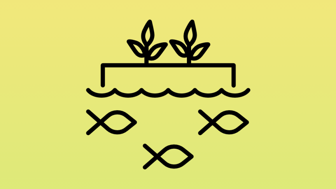 Icon Aquakultur und Fischerei