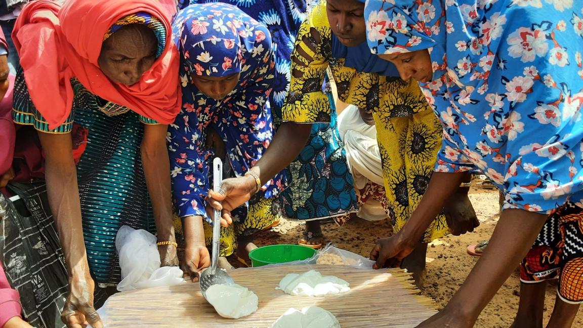 Vier Frauen beugen sich über eine Matte aus Schilfrohr und stellen Käse aus Ziegenmilch her.