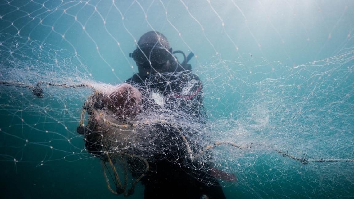 Alte Netze fischen wie Geister weiter