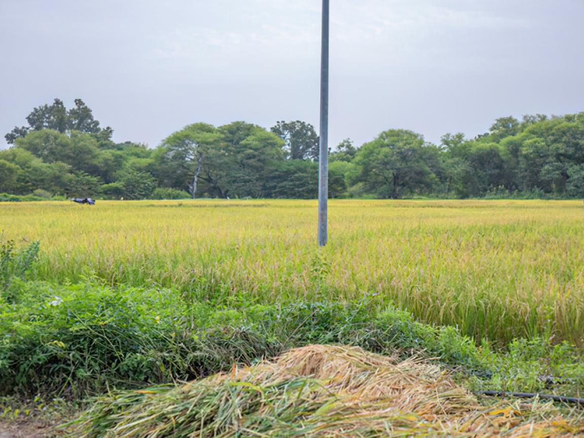 Neben einer Weidefläche liegt ein Haufen abgemähtes Gras.