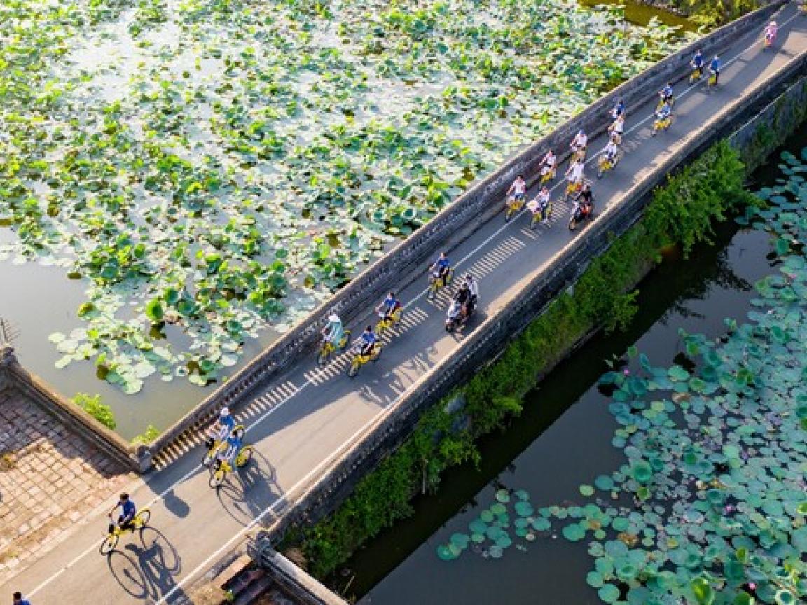 People riding bikes on a bridge
