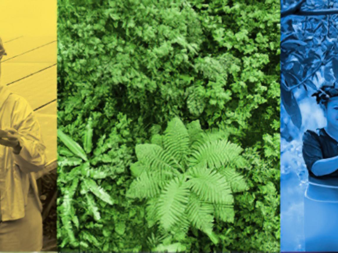 Drei Szenen in gelb, grün und blau zeigen Frauen, die sich auf dem Bau und dem Feld besprechen.