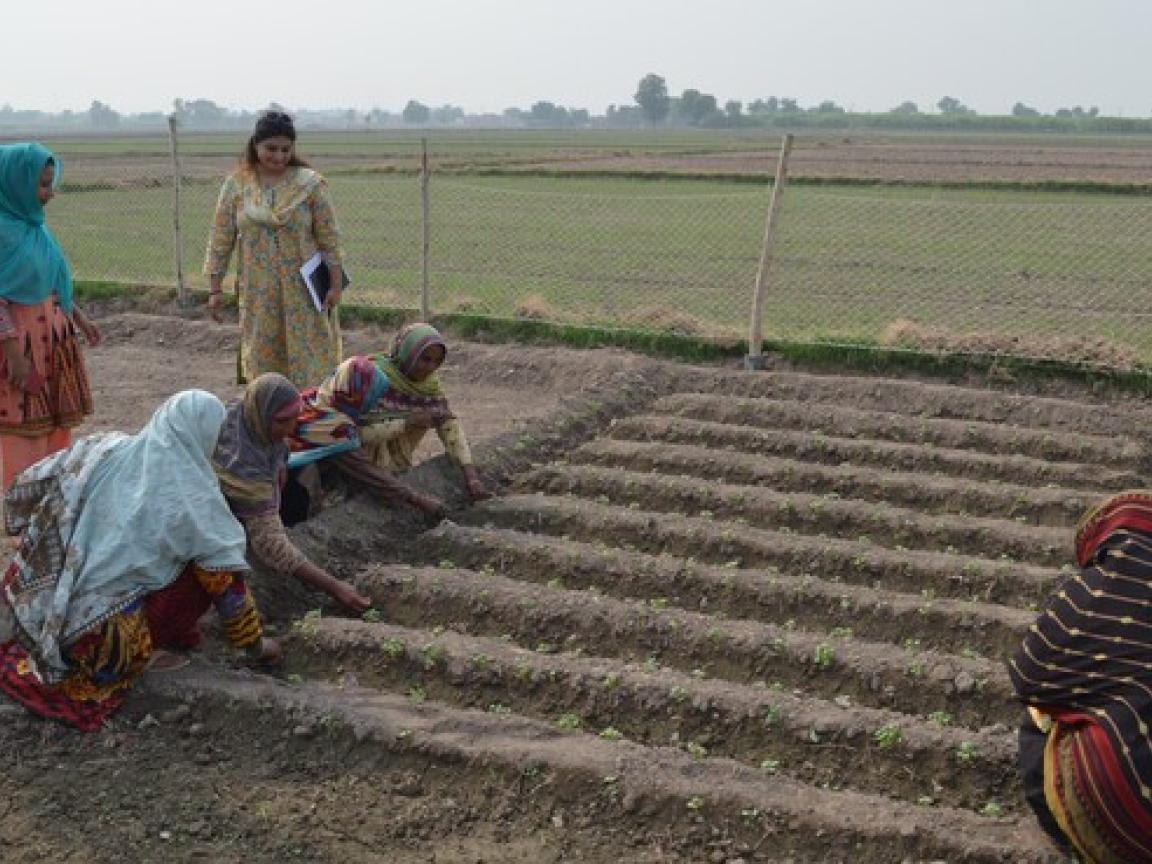 Blossoming Gardens: Empowering Rural Women through Climate-Smart Agriculture
