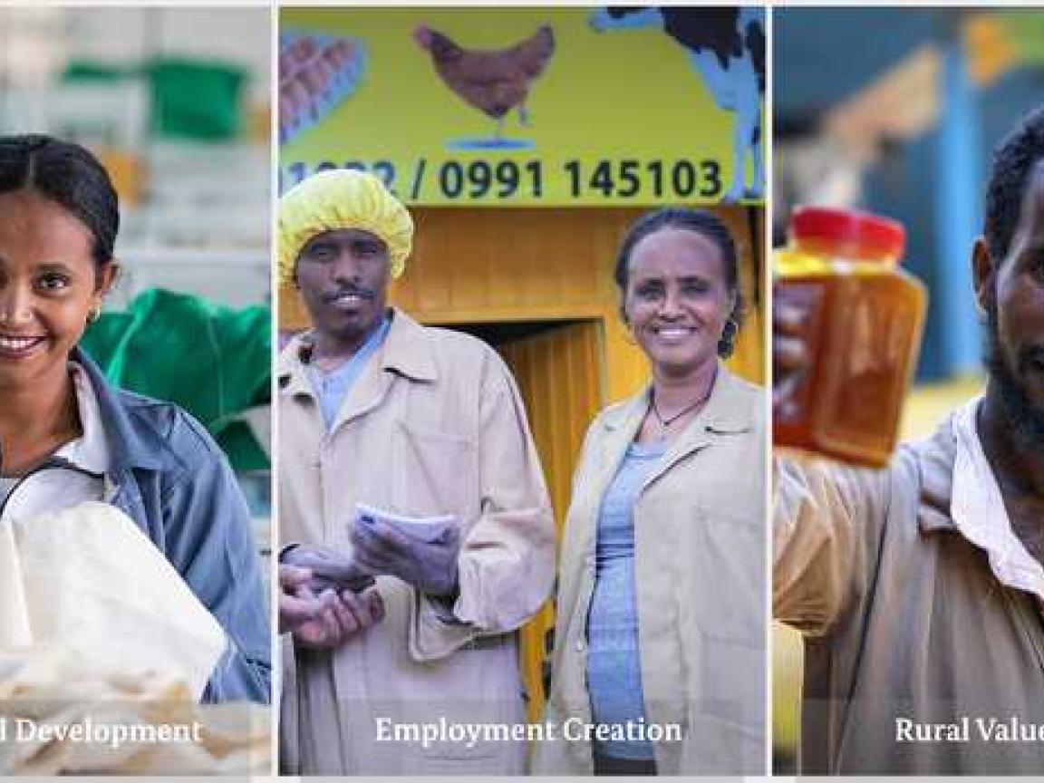 Three pictures of four smiling people are put next to each other, the photo reads: "Industrial Development, Employment Creation, Rural Value Chains".