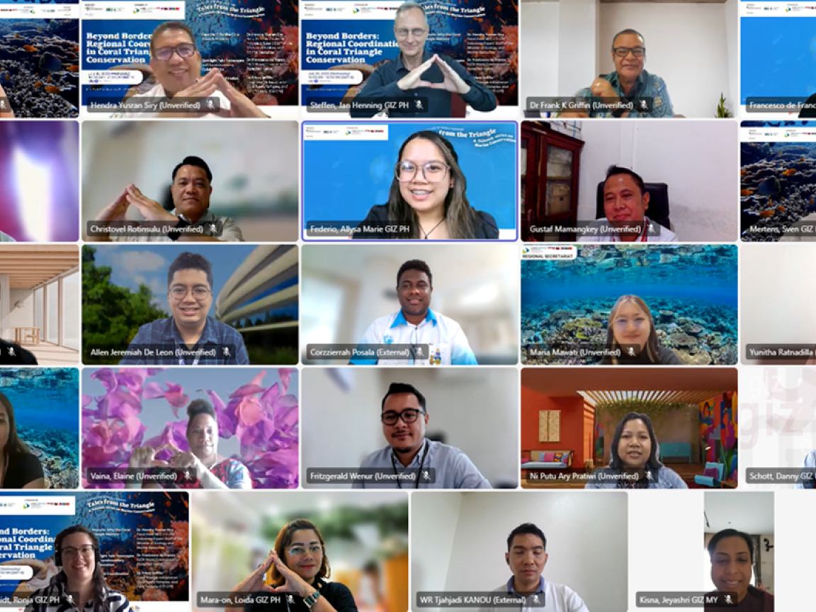 A zoom call with many people in video tiles during a virtual call.