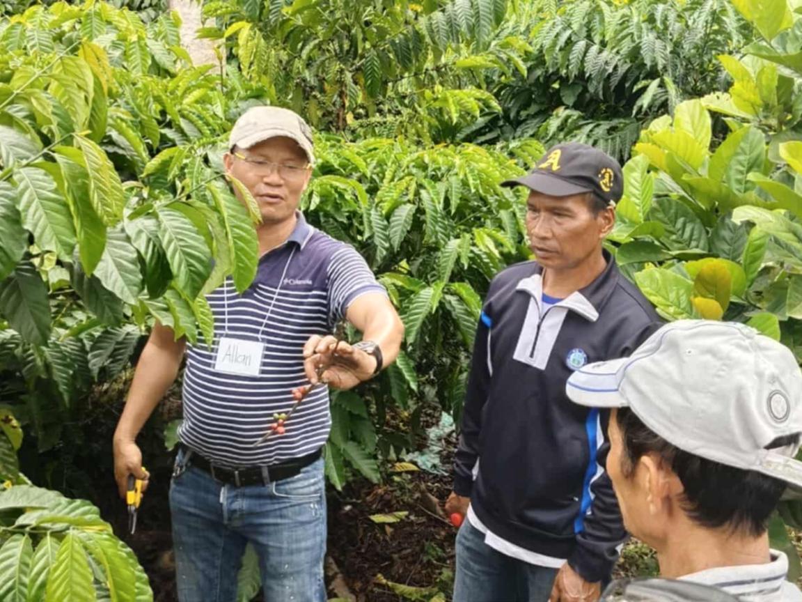 Four people are standing inbetween plants and bushes. One of them is showing the others some fruits of the bushes.