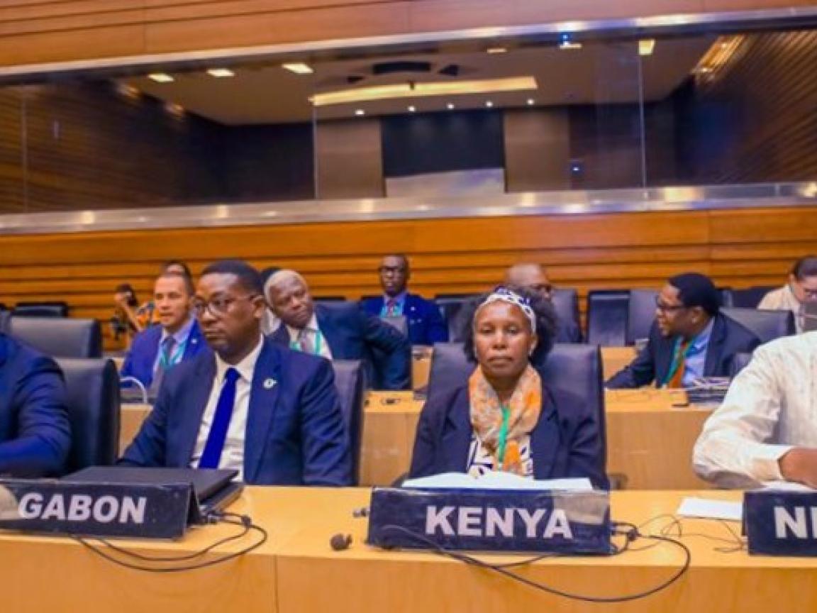 The 1st African Energy Efficiency Conference in Addis Ababa, Ethiopia