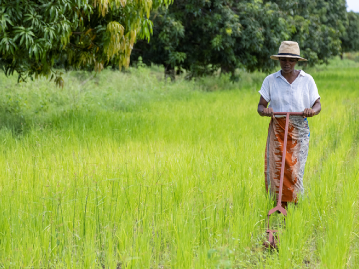 Eine Frau pflügt eine grünen Acker. 