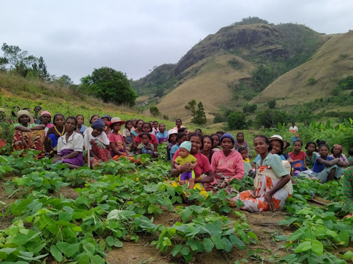 Viele Frauen sitzen zwischen Pflanzenreihen in einem Feld in Madagaskar. 