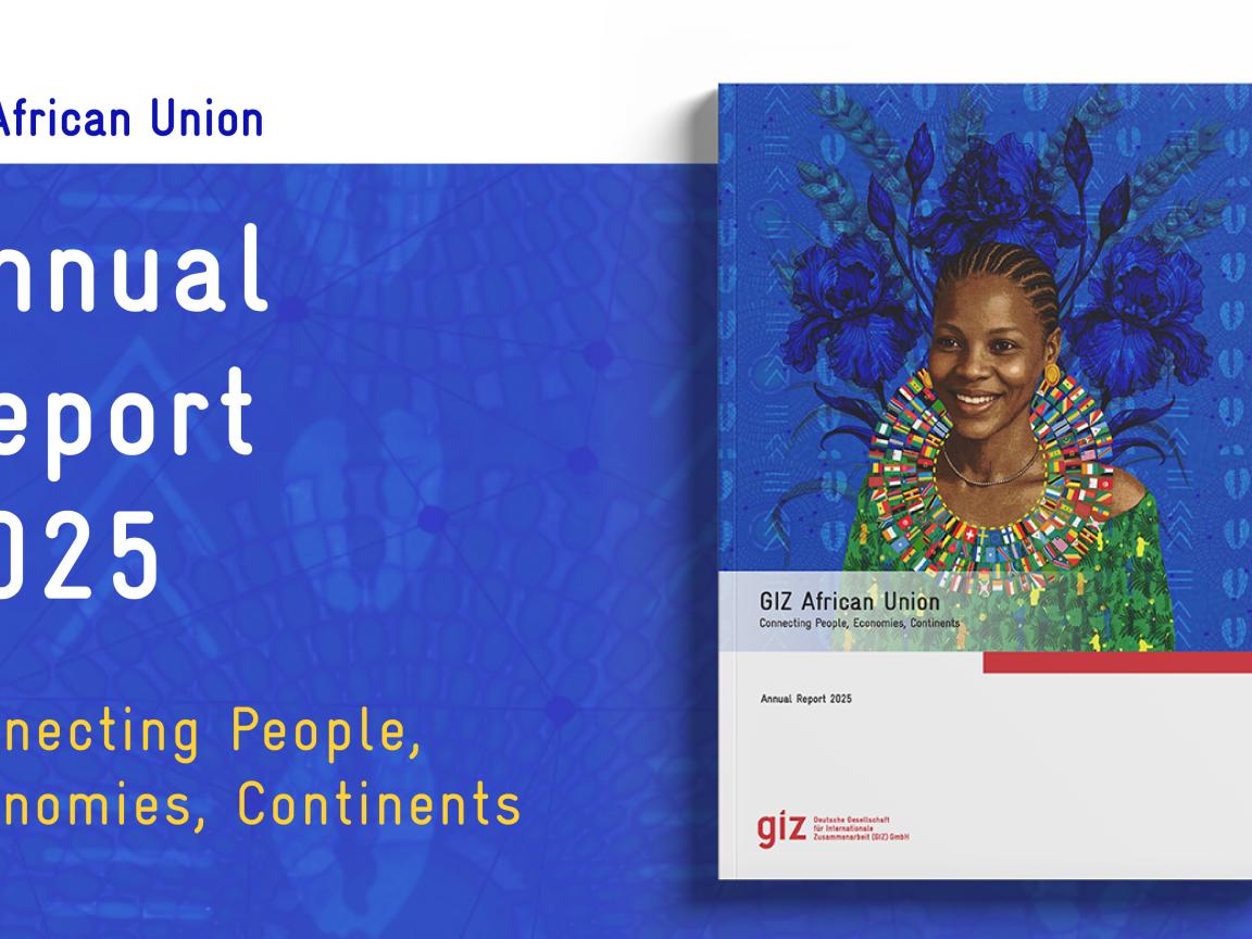 GIZ AU Annual Report Visual
