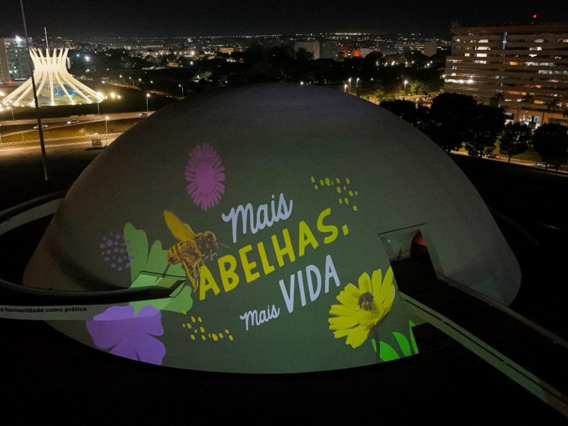 Projeção "Mais abelhas, mais vida" no Museu Nacional de Brasília