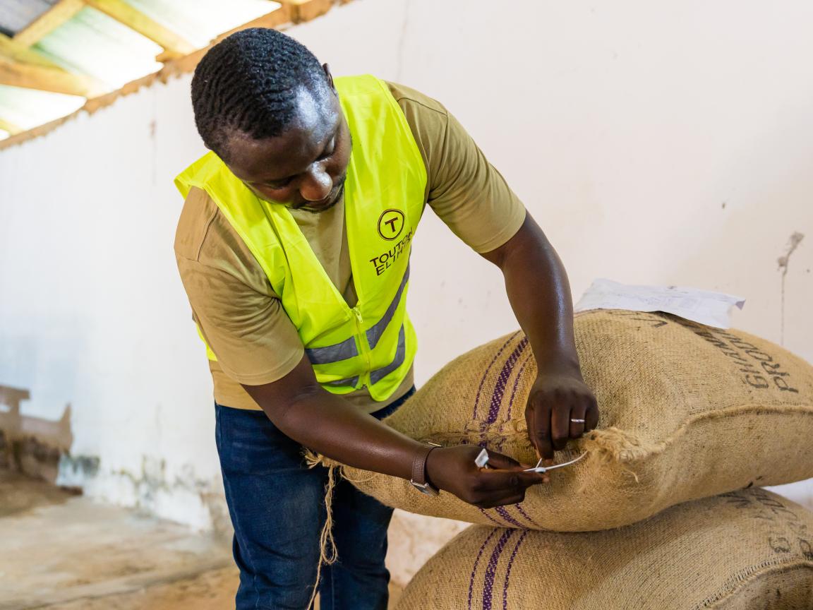 inspecting cocoa packaging