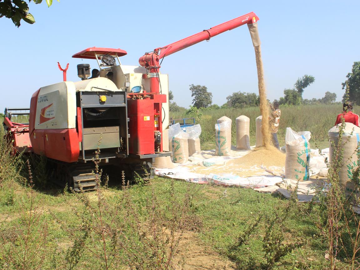 Truck with cereals 