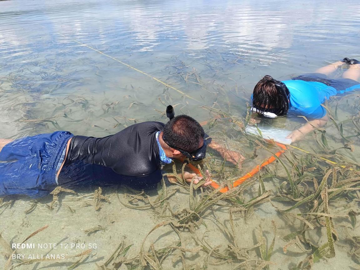 ocean field work
