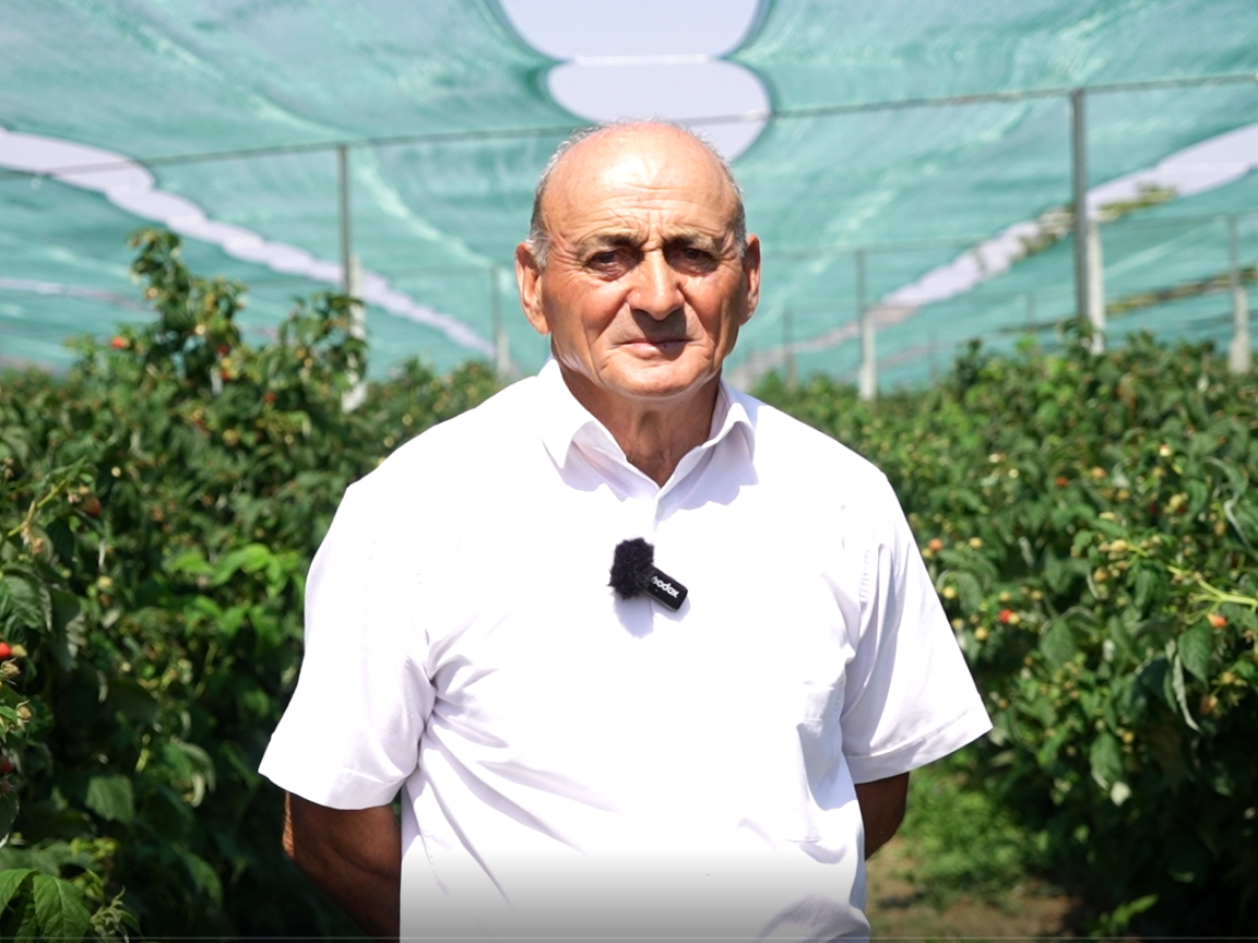 Man standing among rows of plants inside a greenhouse. 