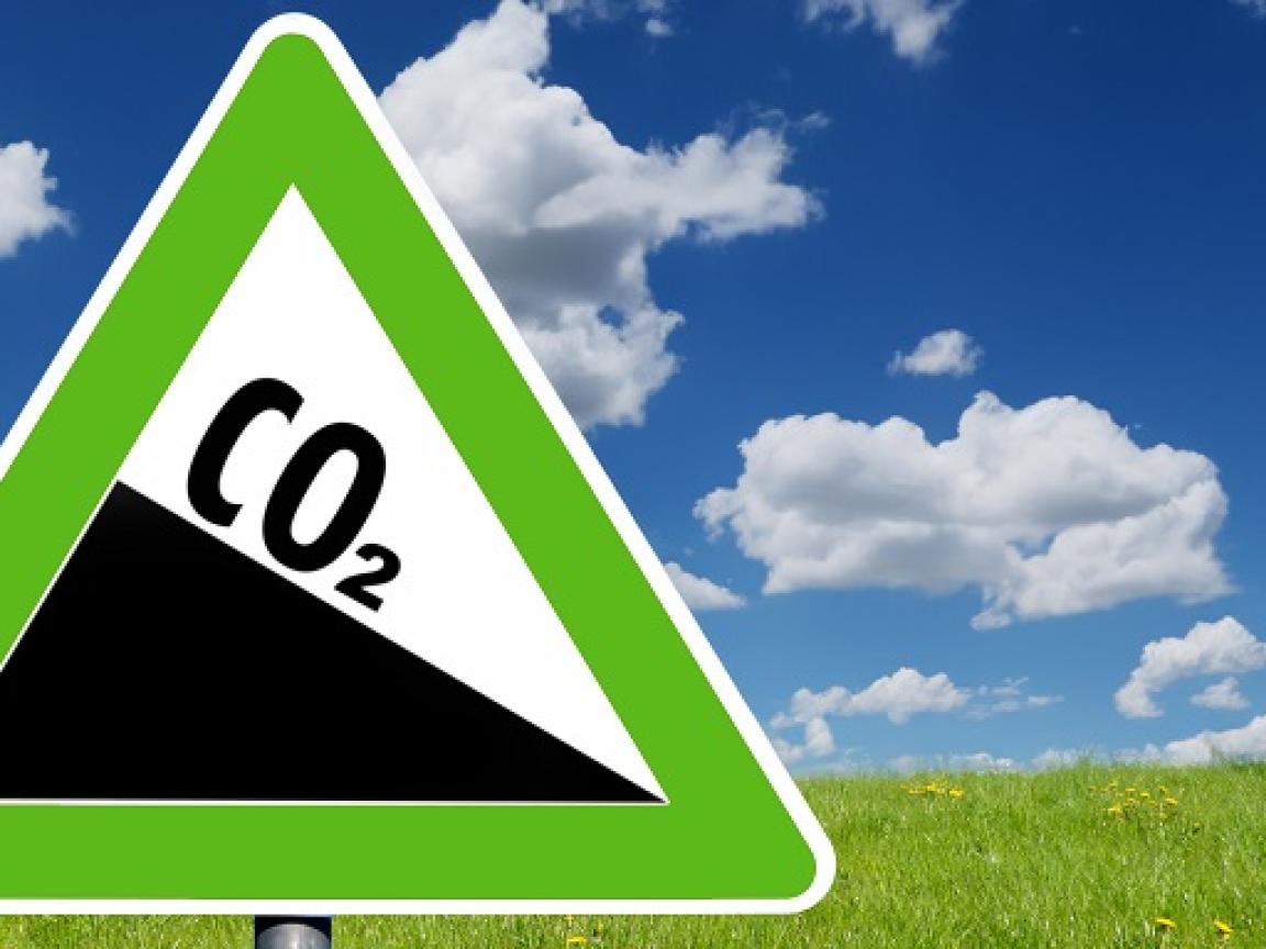 Verkehrszeichen CO2 vor Blumenwiese.